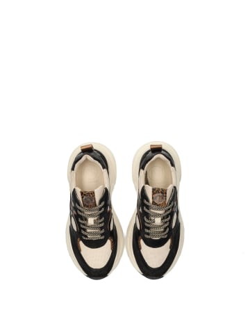 POELMAN Poelman TOKIO Damen Sneaker
