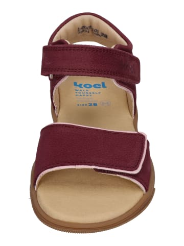 KOEL Sandalen OZU  in rot