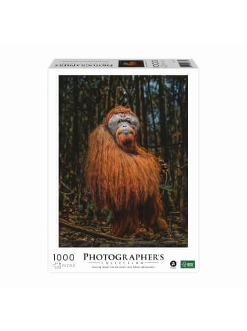 Carletto AMBASSADOR - Orang-Utan 1000 Teile (Donal Boyd)