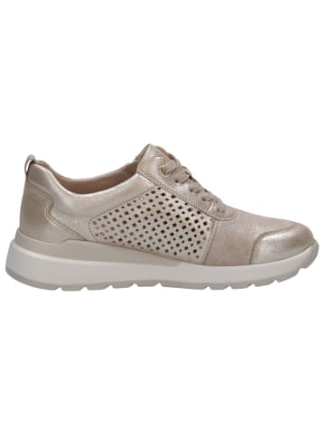 Caprice Sneaker in TAUPE COMB