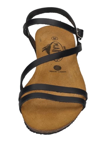 Plakton Sandalen VITA 405660 in schwarz