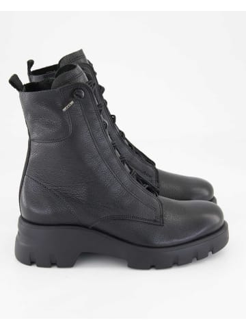 Paul Green Schnürstiefeletten in Schwarz