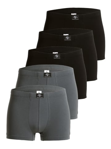 Haasis Bodywear 5er-Set: Pants in schwarz/grau