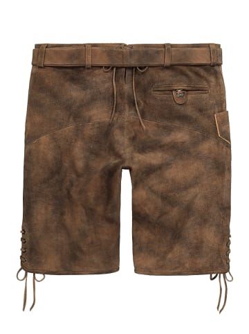 Men Plus Bermuda in mahagonibraun