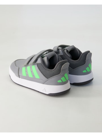 adidas Klettschuhe in Grau