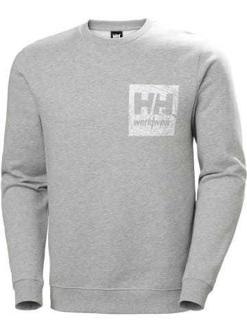 Helly Hansen Pullover "Logo Sweatshirt" in Grau