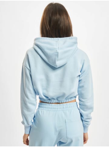 Champion Champion Kapuzenpullover in blue