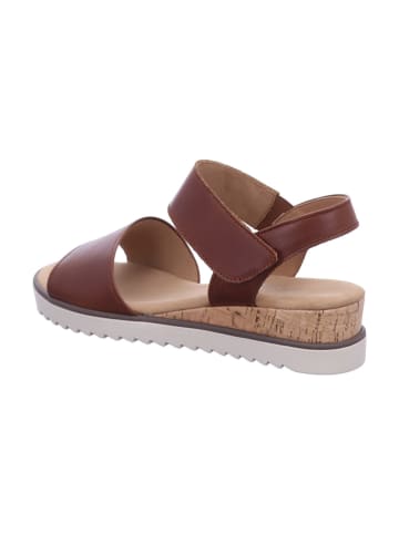 Gabor Comfort Sandalette in braun