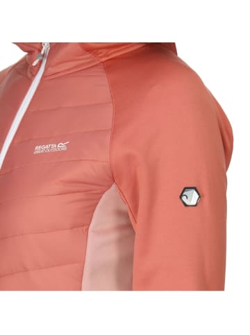 Regatta Hybrid Softshelljacke Andreson VII in Terracotta