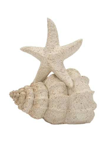Mauro Ferretti Beigefarbene, seesternförmige Kunstharzskulptur, 18 x 13 x 21,2 cm