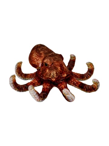 Coppenrath Kuscheltier Oktopus - Nature Zoom Wild, ab 6 Jahre