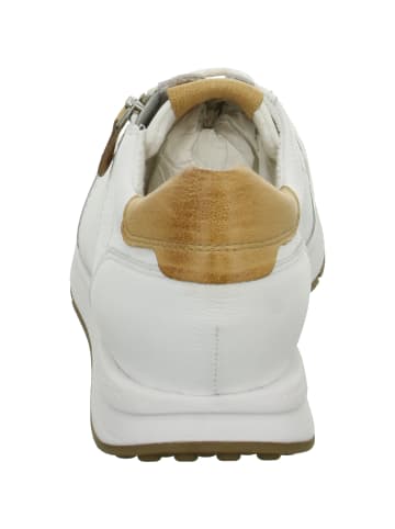 Paul Green Freizeit Schnürer für Damen in whiteoffw
