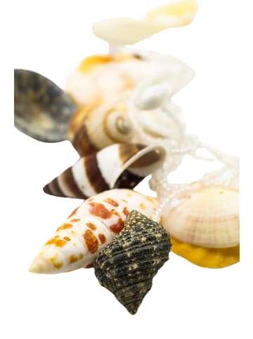 collezione alessandro Lange Kette " Sea " in natur