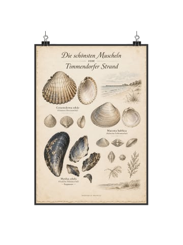 Mr. & Mrs. Panda Print Muscheln historisch Design mit Spruch in Weiß