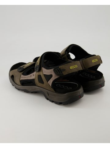 Ecco Sandalen in Grün