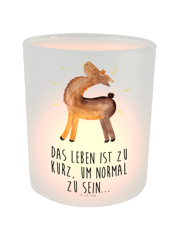 Mr. & Mrs. Panda Outdoor Windlicht Lama Stolz mit Spruch in Transparent