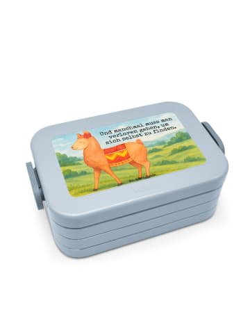 Mr. & Mrs. Panda Bentobox Alpaka Stolz Design mit Spruch in Blau Pastell
