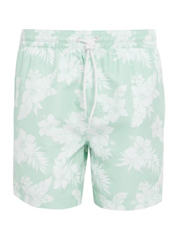 Threadbare Badehose THB Swim Short Sunset in Grün