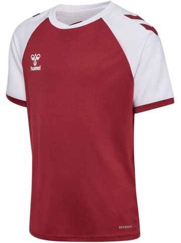 Hummel T-Shirt Raglanärmel Hmlmatch Kinder in MAROON/WHITE