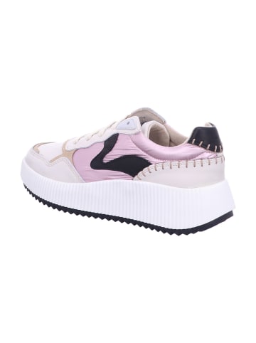 Palpa Sneaker in bunt