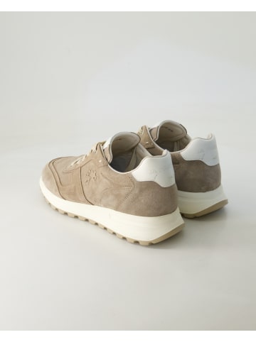 La Martina Sneaker low in Beige