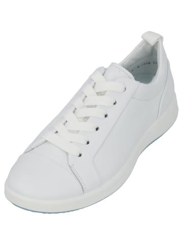 ara Schnürschuhe in weiss