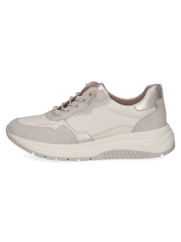 Caprice Schnürschuhe in offwhite comb