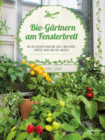 Löwenzahn Bio-Gärtnern am Fensterbrett