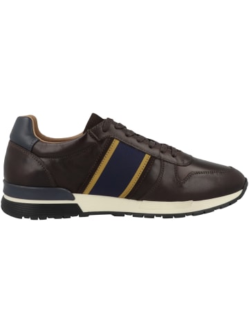 Pantofola D'Oro Sneaker low Sangano 2.0 Uomo Low in braun