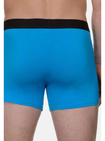 Bruno Banani Retro Short / Pant Flowing in Aqua Blue / Schwarz