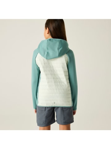 Regatta Hybrid Softshelljacke Andreson in Hellgrün