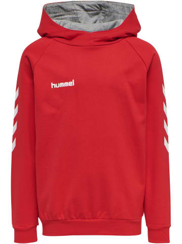 Hummel Hummel Cotton Kapuzenpullover Hmlgo Multisport Kinder in TRUE RED