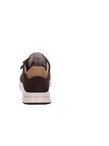 Ara Shoes Schnürer Osaka 2.0 in Braun