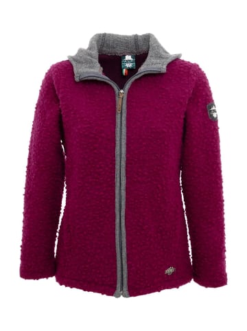 Alp1964 Jacke 428001 in grau