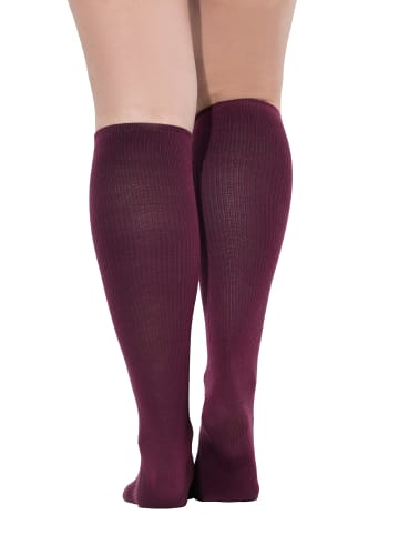 Ulla Popken Strümpfe in aubergine