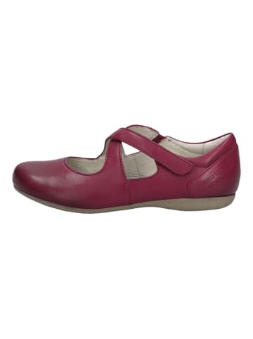 Josef Seibel Ballerinas in Berry