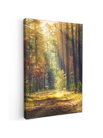 MuchoWow Leinwand bilder Waldpfad (BxH)