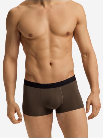 Hanro Retro Pants Micro Touch in wood