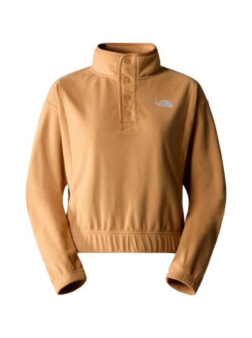 The North Face Fleecepullover Homesafe in almond butter