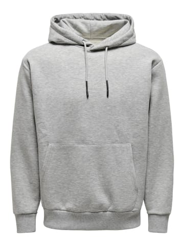 Only&Sons Sweatshirt ONSCERES in Grau