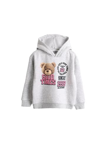 SOLANG Sweatshirt in Grau