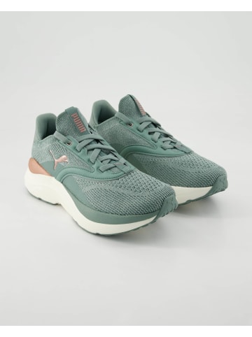 Puma Sneaker low in Grün