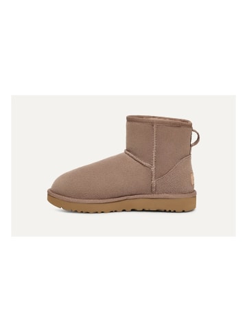 UGG Botines Classic in Braun