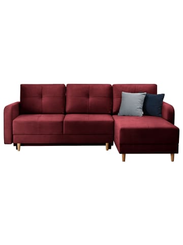 MF Design Roxana in Tawny Port -  (L) 165 x (B) 240 x (H) 90 cm