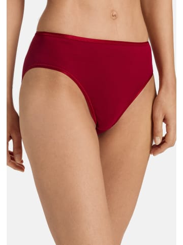 Hanro Midi Slip Cotton Seamless in Red dahlia