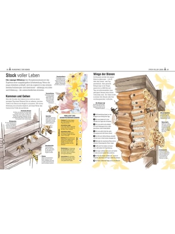 Dorling Kindersley  Das Bienen Buch | Bienen verstehen, schützen und halten