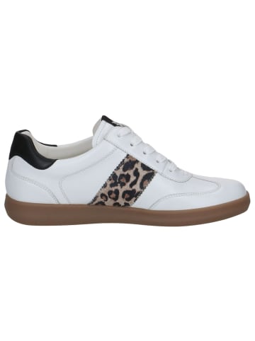 Caprice Sneaker in WHITE COMB I