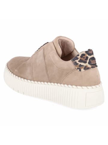 Gabor Slipper in beige