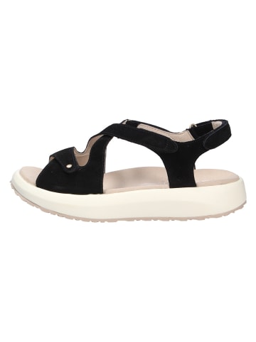 Joya Sandale JENNY BLACK in schwarz