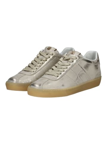 Högl Sneaker Platin